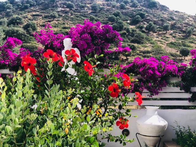Apartmán La Bastide Skyros Exteriér fotografie