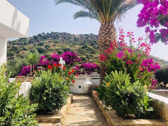 Apartmán La Bastide Skyros Exteriér fotografie